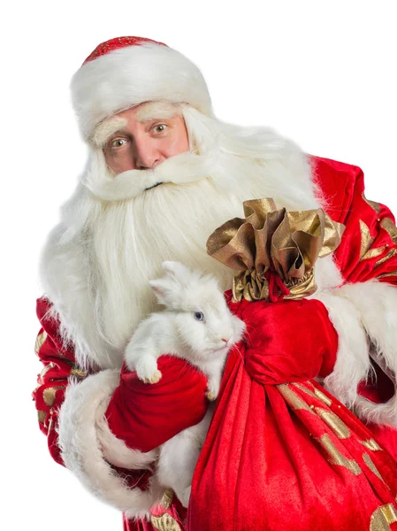 Santa Claus en zijn konijn — Stockfoto