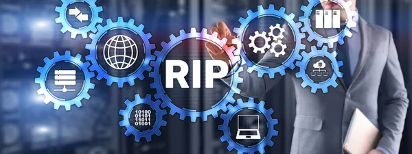 RIP. Geschäftsmann drückt virtuellen Bildschirm Routing Information Protocol. Technologienetzwerk-Konzept — Stockfoto