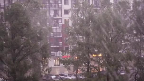 Heavy Downpour 250Fps Slow Motion. Heavy rain camera in motion. City background. — Stock Video