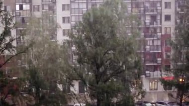 Şiddetli yağmur kamerası hareket halinde. Şehir geçmişi. Şiddetli Sağanak 250 Fs Yavaş Hareket.