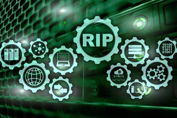 Rip Routing Information Protocol Technology Networks Cocept — Stock Photo, Image