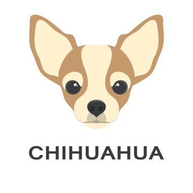 Vektör illüstrasyon düz tarzda og chihuahua köpek. Chihuahua düz simgesi.