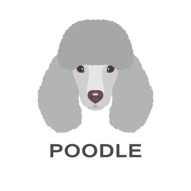 Düz tarzda kaniş vektör illüstrasyon. Kaniş düz simgesi.