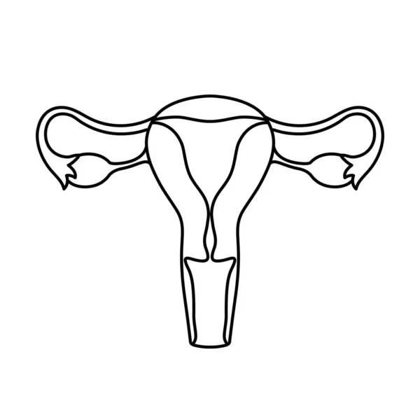 Женские репродуктивные органы обрисованы иллюстрацией. Значок внутреннего органа, логотип. Анатомия, медицина. Здравоохранение. Изолированный на белом фоне. Лицензионные Стоковые Иллюстрации