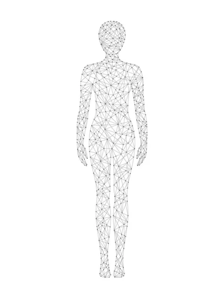 Donna corpo basso poli wireframe vettoriale illustrazione. Medicina, scienza e tecnologia. Vettoriali Stock Royalty Free