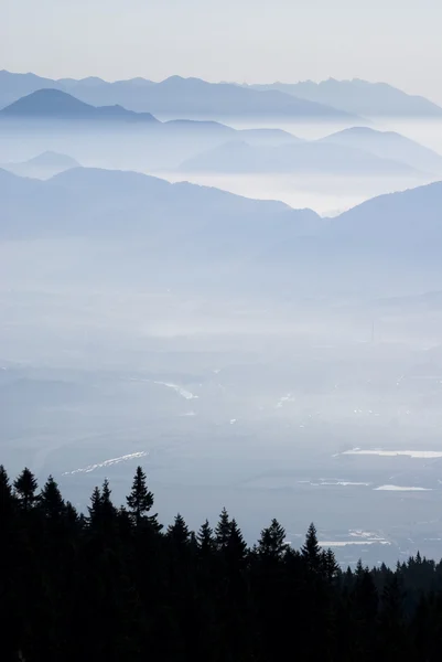 Les Montagnes Tatra Dans Brouillard Avec Silhouette Forêt Noire Haute — Photo