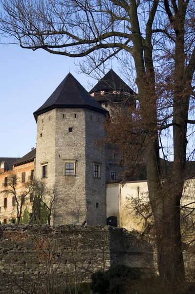 Castle Sovinec Sonbahar Sezonu Iki Kule Üzerinde Göster — Stok fotoğraf