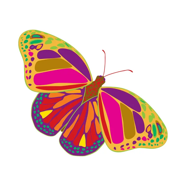 Butterfly — Stock Vector