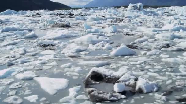 Eisberge treiben auf Gletschern — Stockvideo