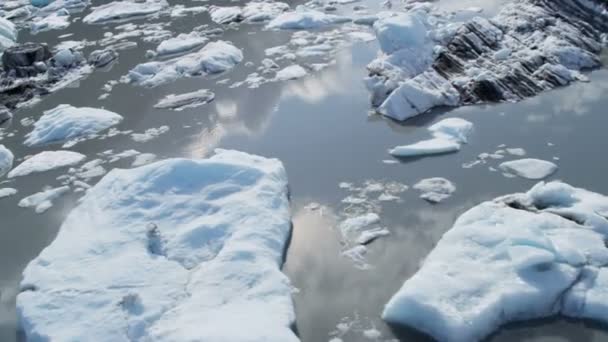 Eisberge treiben auf Gletschern — Stockvideo