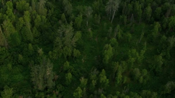 Pohoří Chugach na jihu střední Aljašky — Stock video