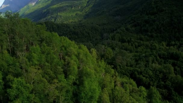 Chugach Mountains Zuid-Centraal Alaska — Stockvideo