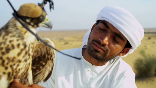 Αραβική άνθρωπος με εκπαιδευμένο γεράκι — Αρχείο Βίντεο