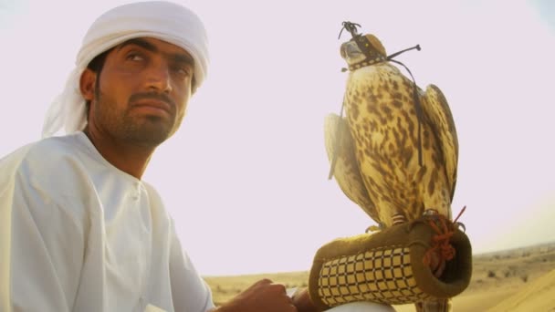 Arabische man met opgeleide falcon — Stockvideo