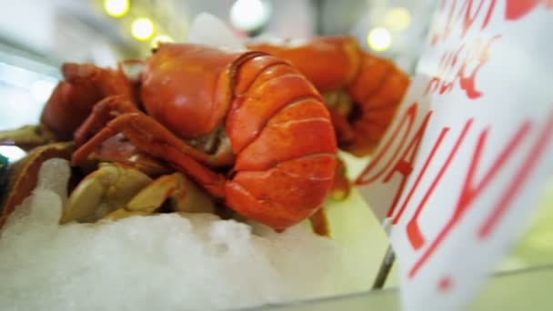 Świeży homar w sprzedaży na targu rybnego w Seattle — Wideo stockowe