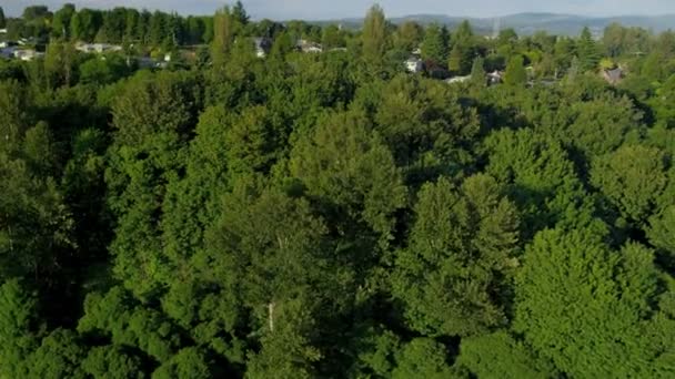 Residentiële huizen en voorsteden van Seattle — Stockvideo