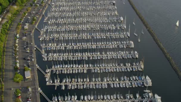 Marina with yachts on Lake Washington — Stock Video