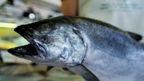 Salmone fresco in vendita al Mercato del Pesce di Seattle — Video Stock