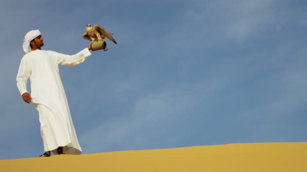Hombre árabe con halcón entrenado — Vídeo de stock