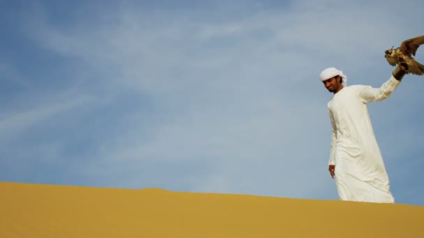 Hombre árabe con halcón entrenado — Vídeos de Stock