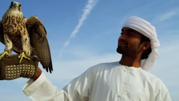 Orang Arab dengan elang terlatih — Stok Video