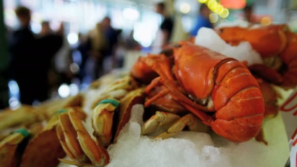 西雅图皮克斯鱼市场的新鲜龙虾 — 图库视频影像