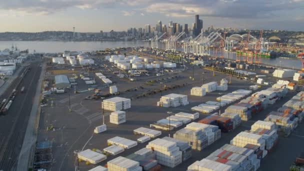 Aerial view  Port of Seattle — Stock Video