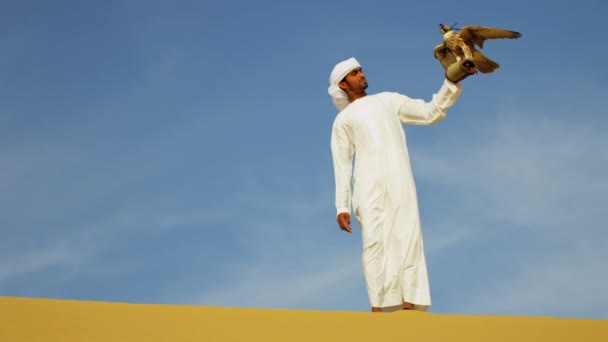 Arabische man met opgeleide falcon — Stockvideo