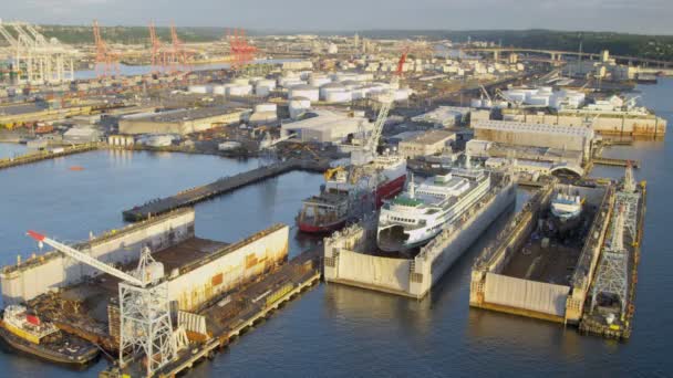 Porto de transporte de contentores de Seattle — Vídeo de Stock