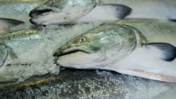 Mercado de pescado Pikes en Seattle — Vídeos de Stock