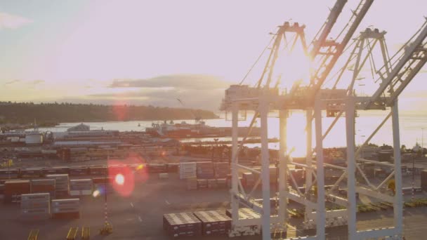 Εναέρια θέα λιμάνι του Σιάτλ — Αρχείο Βίντεο