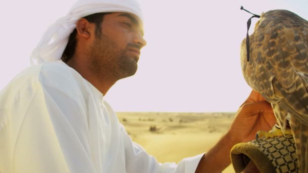 Arabische man met opgeleide falcon — Stockvideo