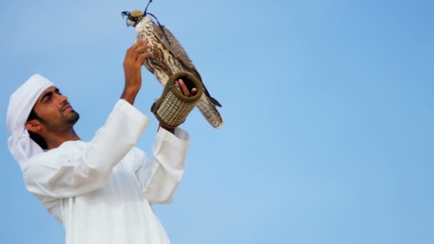 Hombre árabe con halcón entrenado — Vídeo de stock