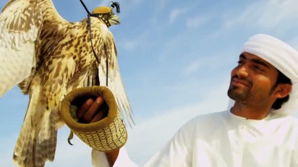 Арабский человек с обученным соколом — стоковое видео