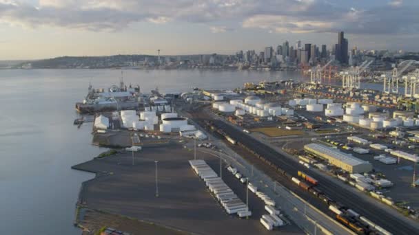 Aerial view  Port of Seattle — Stock Video