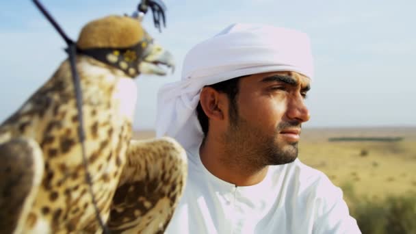 Arabische man met opgeleide falcon — Stockvideo