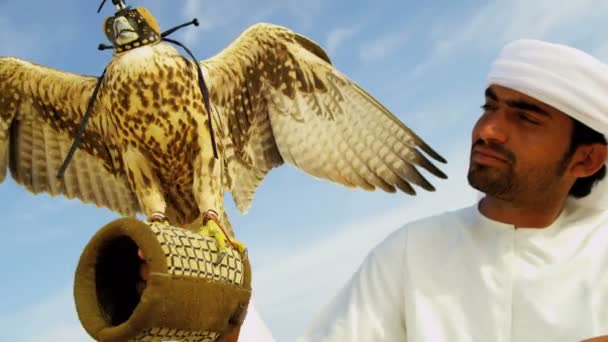 Arabische man met opgeleide falcon — Stockvideo