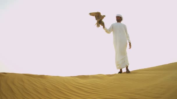 Arabische man met opgeleide falcon — Stockvideo