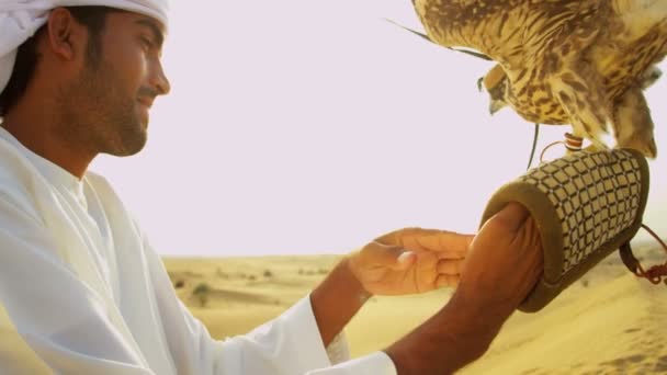 Arab muž s vyškolenými falcon — Stock video