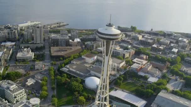 Space Needle observation tower in Seattle — Stock Video