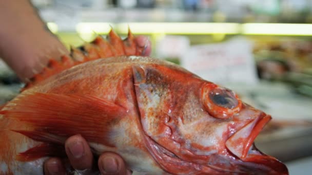 Pike Place Market a Seattle — Video Stock