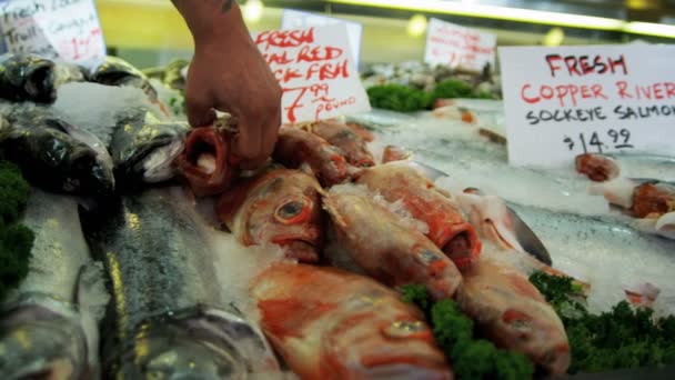 Щука місце рибний ринок в Сіетлі — стокове відео