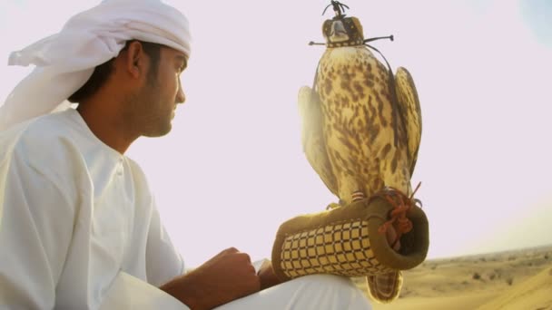 Hombre árabe con halcón entrenado — Vídeos de Stock