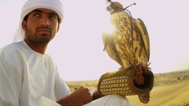 Homem árabe com falcão treinado — Vídeo de Stock