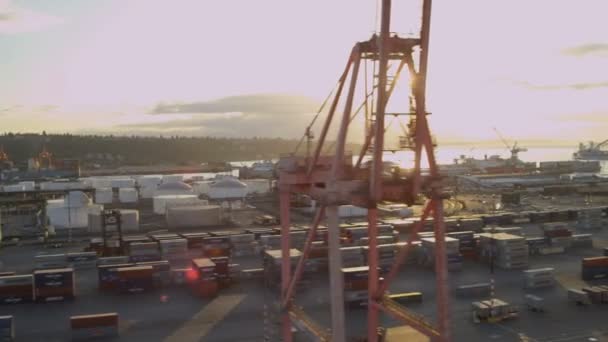 Container transport hamn i Seattle — Stockvideo