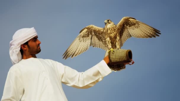 Arabische man met opgeleide falcon — Stockvideo