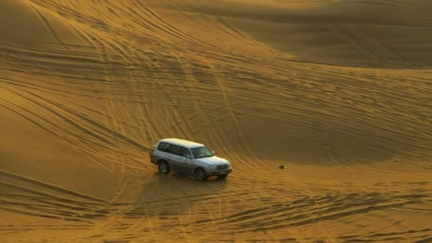 Off road car taking visitors to Dubai — Stock Video