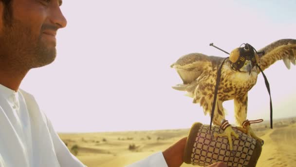 Arabische man met opgeleide falcon — Stockvideo