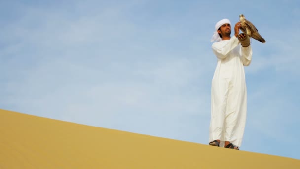 Arabische man met opgeleide falcon — Stockvideo