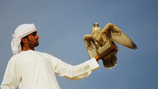 Arabische man met opgeleide falcon — Stockvideo